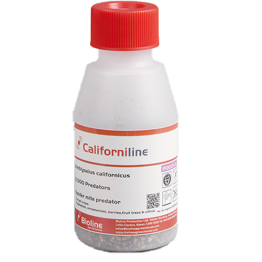 Californiline - 2000 per bottle - Biological Control